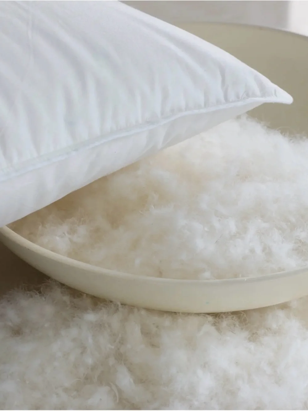 Quince | Luxe Goose Down Pillow
